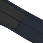 31-WF6C31